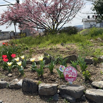 G・Ⅱ・A・Garden