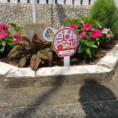 かどの花園