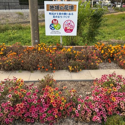 幸子古花壇