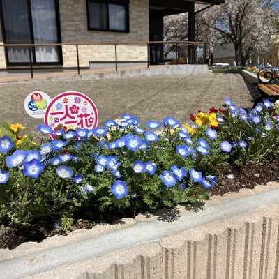 おかえり花壇