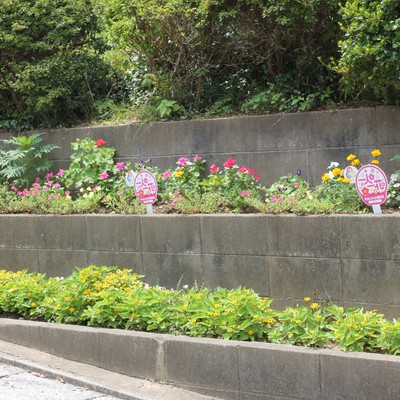 花壇 鴨生田