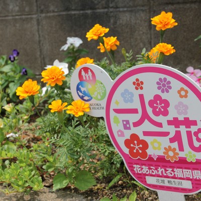 花壇 鴨生田