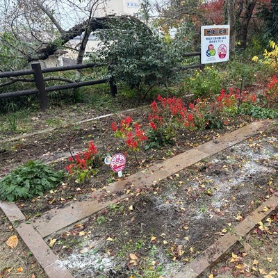御山会花壇