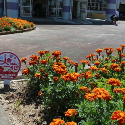 直方市立福地小学校