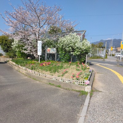 頓野やまももの会