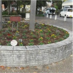 花壇２