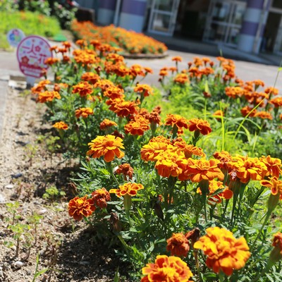 直方市立福地小学校