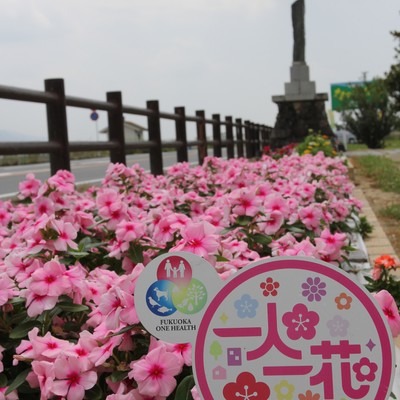 なのはな花壇