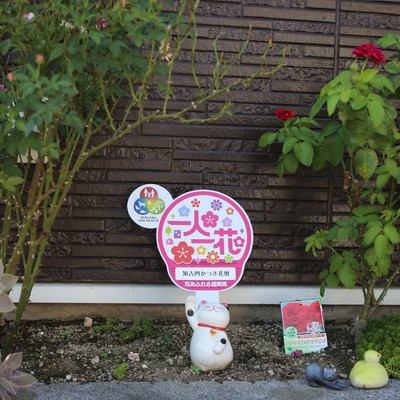 知古四かつき花壇