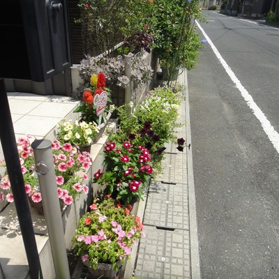 知古四かつき花壇