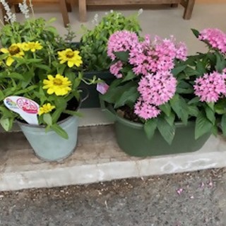 みつばちパートナー花壇