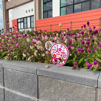 町立武道館横花壇